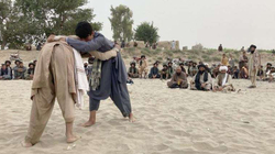 Paqja në tokat talebane sundon bashkë me urinë