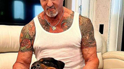 Sylvester Stallone tregon nëse u nda me bashkëshorten për shkak të qenit