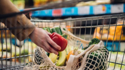 Virusi COVID mund të qëndrojë në disa produkte ushqimore për disa ditë