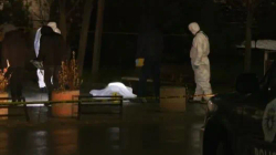 Deri ku kanë mbërritur rastet gjyqësore të grave të vrara?