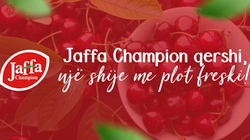 Jaffa Champion qershi, një shije me plot freski!