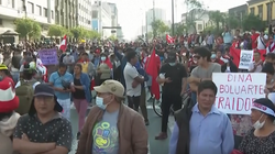 Peruja në kaos, mbështetësit e Castillos së rrëzuar kërkojnë dorëheqjen e presidentes së re