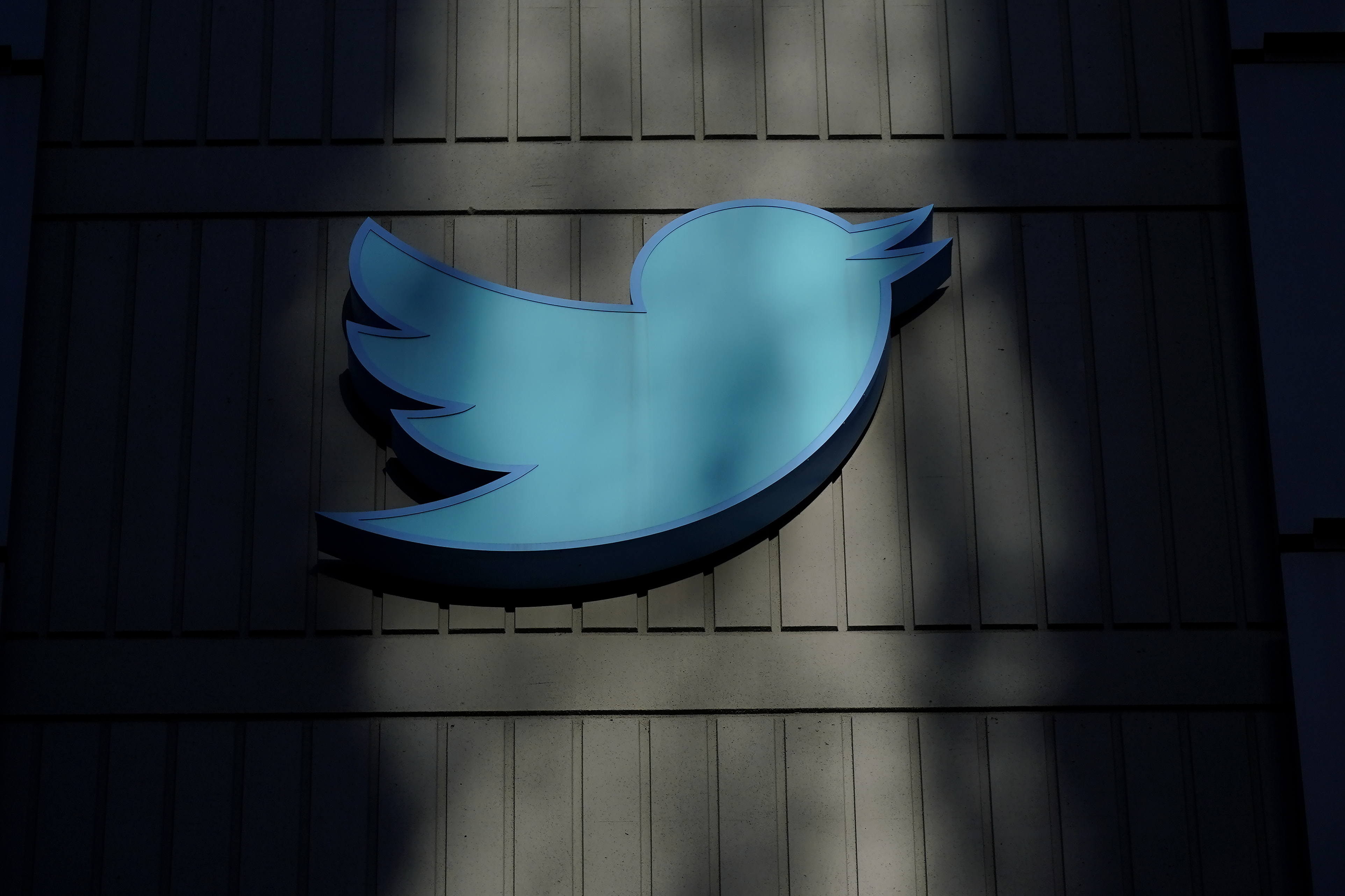 Parashikim fatkeq, Twitteri do t’i humbasë mbi 30 milionë përdorues