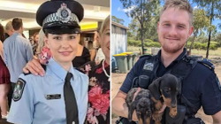 Gjashtë të vdekur nga të shtënat në një pronë të largët australiane