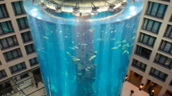 Shpërthen akuariumi gjigant në Berlin