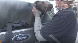 Momenti kur policia amerikane shpëtoi qenin nga vetura që po digjej