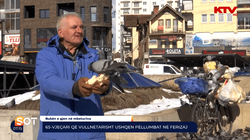 65-vjeçari që çdo ditë ushqen pëllumbat në Ferizaj