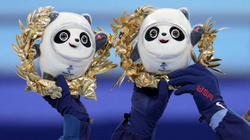 Fituesit njëherë marrin panda prej pelushi pastaj medaljet