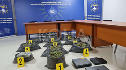 Kapen 32 kg marihuanë e 2,059 bimë kanabis në një laborator në Suharekë