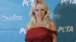 Pamela Anderson nuk do ta shikojë kurrë serialin “Pam and Tommy”
