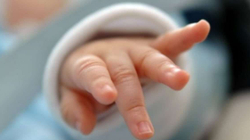 Vetëm në Komunën e Prishtinës nuk regjistrohen foshnjat e porsalindura, si pasojë e grevës