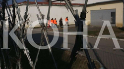 Pezullohet nga puna zyrtari i SHKK-së, i dyshuar për kontrabandë