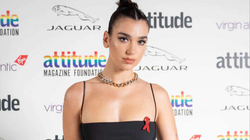 Dua Lipa e zbuloi sekretin e shëndetit dhe mirëmbajtjes së trupit