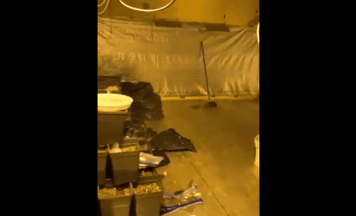 Në veri të Mitrovicës zbulohet një laborator droge, dy serbë të arrestuar