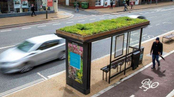 Qyteti anglez po i kthen stacionet e autobusëve në kopshte pjalmuese për bletët