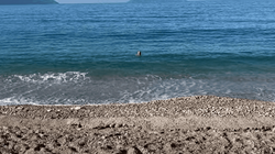 Plazh në ditën e parë të vitit, “verë” në Vlorë