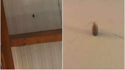 Plumbi qorr shpon murin e shtypshkronjës së KOHËS
