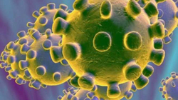 Zbulohet një varianti i ri i koronavirusit në Qipro