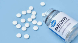 Vendimi për pilulën e Pfizerit, brenda javësh