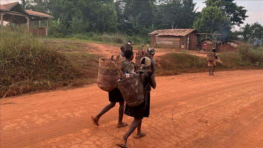 Pigmenët, vendasit më të vjetër të Afrikës të detyruar të jetojnë pa identitet në Kamerun