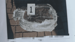 Sekuestrohen mbi 5kg marihuanë, një i arrestuar dhe një tjetër i dyshuar në arrati
