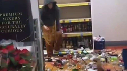 Shkatërroi shishe alkooli në vlerë 10 mijë funte, gjykata në Britani ia shqipton dënimin