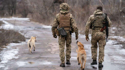 Pas SHBA-së edhe Britania bën thirrje për tërheqje të stafit nga Ukraina