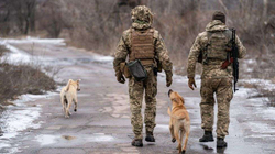 Pas SHBA-së edhe Britania bën thirrje për tërheqje të stafit nga Ukraina
