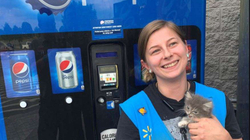 Shpëtohet macja në SHBA që ngeli e bllokuar në aparatin e Pepsit