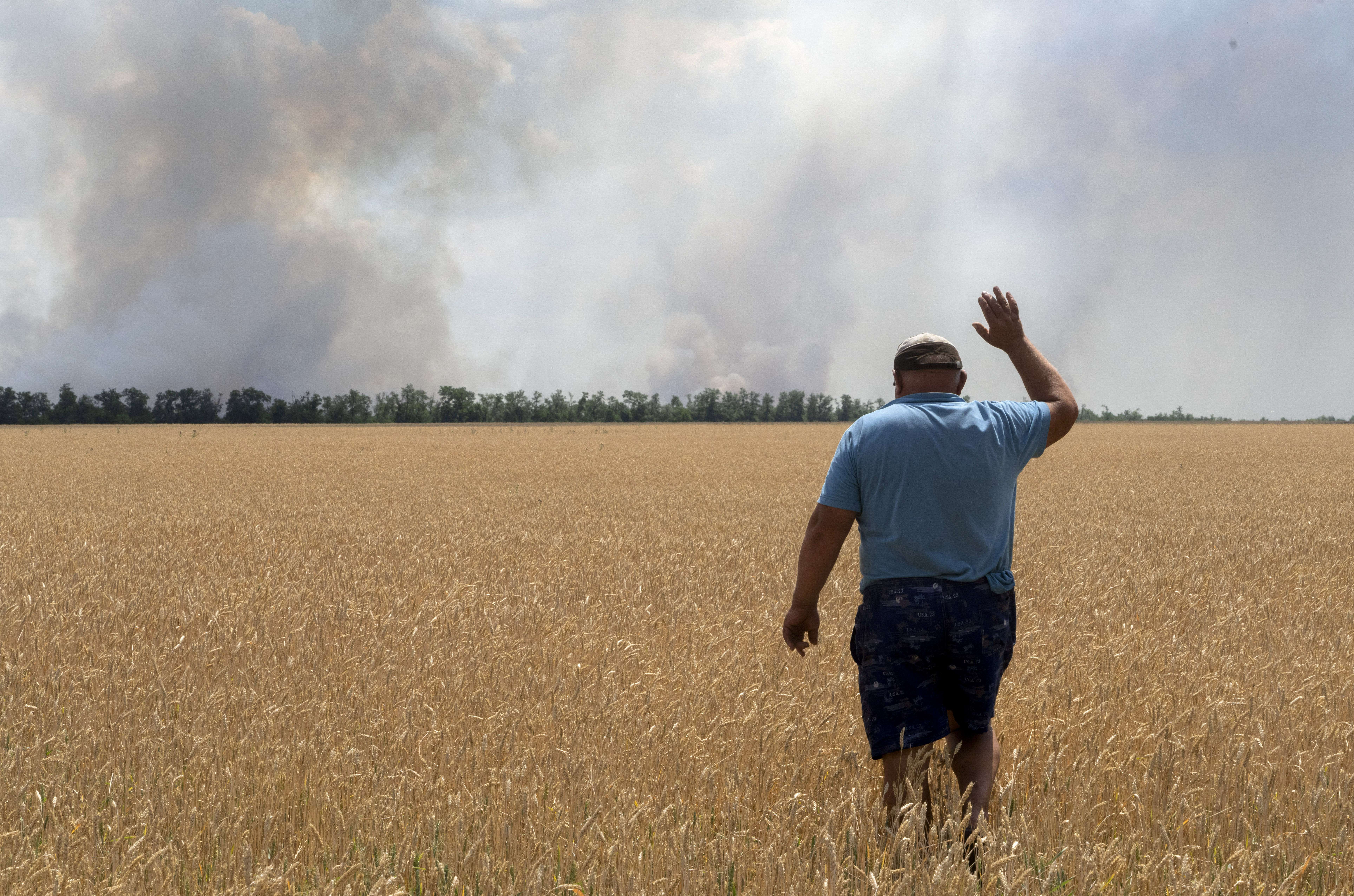 Rusia i shkaktoi dhjetëra miliarda dollarë humbje Ukrainës në bujqësi