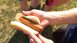 Amerikani shënon rekord botëror në hedhjen e hot-dogut