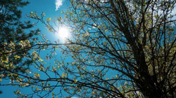 Temperatura deri në 38 gradë celsius të shtunën në Kosovë