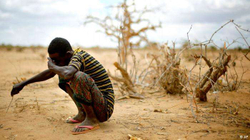 USAID-i alarmon për krizë urie në shtetet afrikane