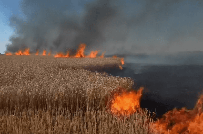 Djegia e grurit, raketat ruse po bëjnë shkrumb fushat në Ukrainë