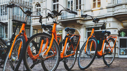 Holanda, vendi me 17 milionë banorë dhe 23 milionë biçikleta