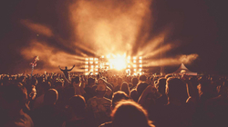 Festivalet do ta përhapin linë e majmunëve, thotë OBSH-ja