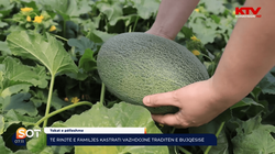 Të rinjtë e familjes Kastrati nga Rahoveci vazhdojnë traditën e bujqësisë