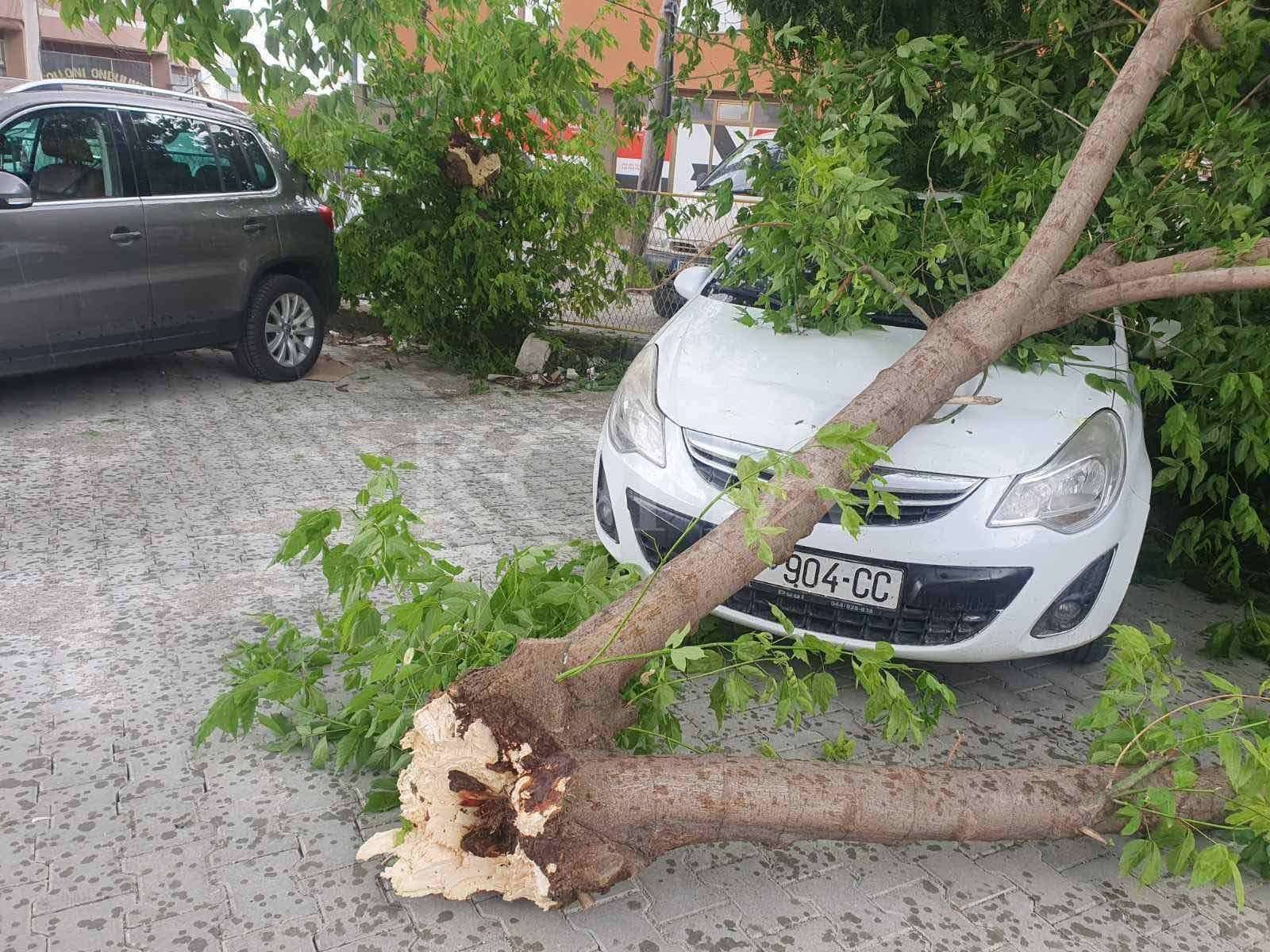 Rrëzohet lisi në Ferizaj, dëmtohet një veturë