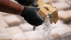 300 kg kokainë gjenden në dërgesën e bananeve në Greqi