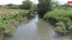 Projekti për impiantin e ujërave të zeza në Ferizaj, drejt dështimit