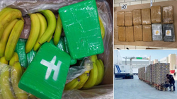 Kokaina me vlerë miliona euro sekuestrohet në Çeki, u dërgua gabimisht me banane në supermarkete