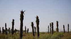 Në Irak, temperatura shkon në 48 gradë Celsius