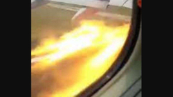 Zogu futet në motor, piloti detyrohet të aterrojë aeroplanin
