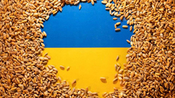 Turqia po i heton pretendimet se Rusia po eksporton drithërat e vjedhura nga Ukraina