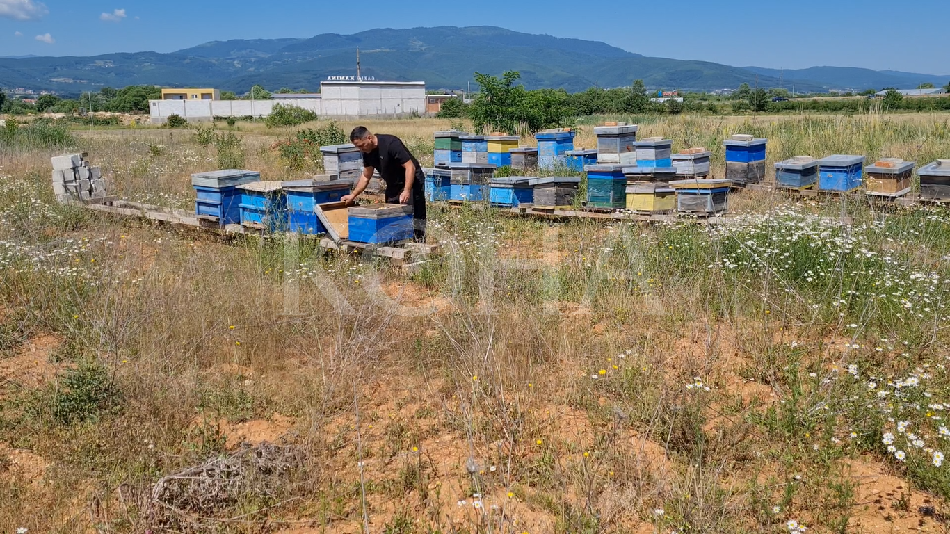 Koshere - bletari - Ferizaj