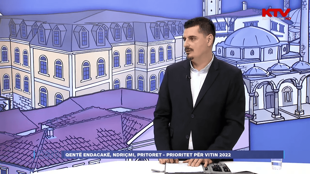 Komuna e Prishtinës planifikon lokacion deri në 10 hektarë për strehimin e qenve endacakë