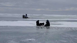 Qeni udhëtoi për shtatë ditë mbi akull, bëhet viral takimi me pronaren