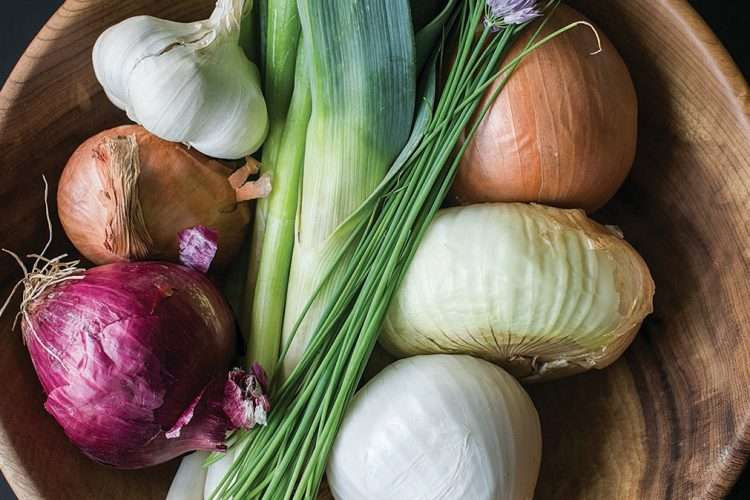 Kann man Zwiebeln und Knoblauch im Kühlschrank aufbewahren?