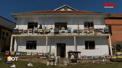 Lufta e Kosovës, periudhë e prodhimit të lartë të mjaltit