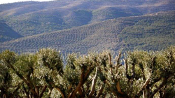 Shqipëria, pjesë e katër itinerareve turistike në tri kontinente